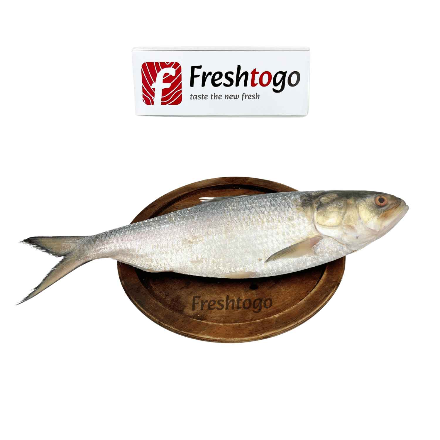 Hilsa Fish (800gm - 1kg) - Whole, Cut, Cleaned